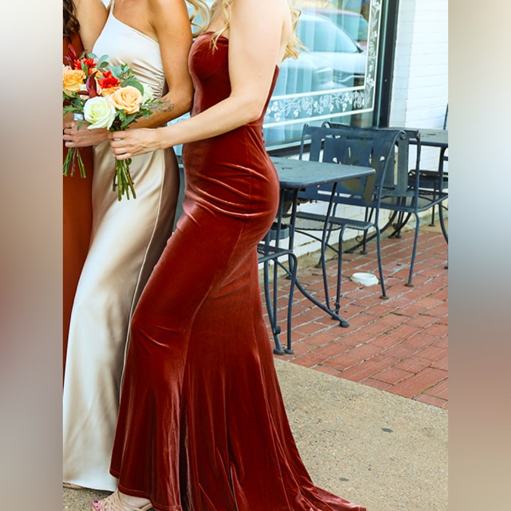 Revelry Quinn Velvet Dress in Terracotta - 606. Size 4 Petite, 41” waist to hem.